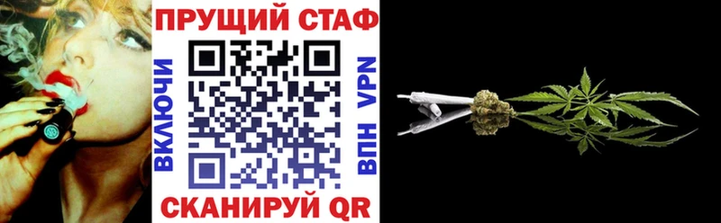 МЕФ Новотроицк