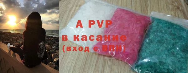 стаф Абинск