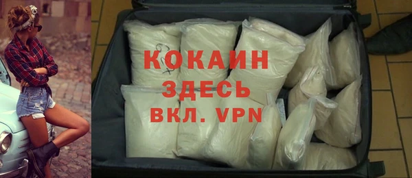 стаф Абинск
