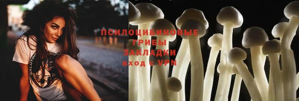 2c-b Пестово
