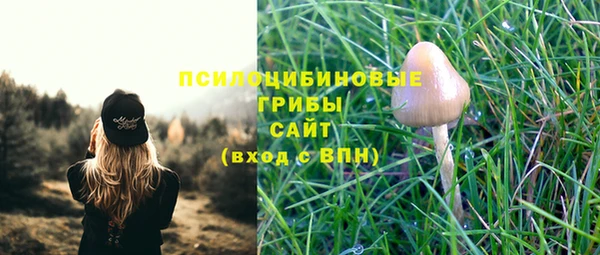 стаф Абинск