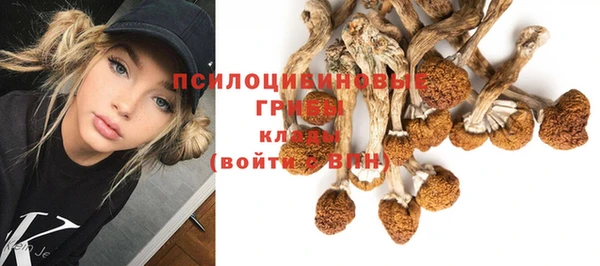 прущий лед Абаза