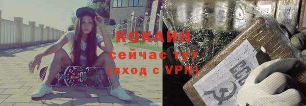 2c-b Пестово