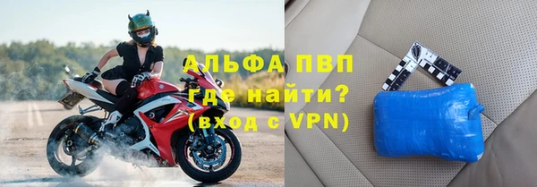 стаф Абинск